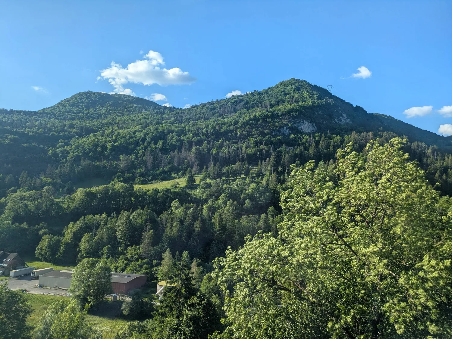 Forest-covered mountains near Geneva